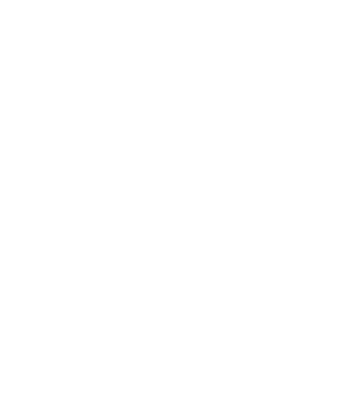 Logo Aliansi Footer